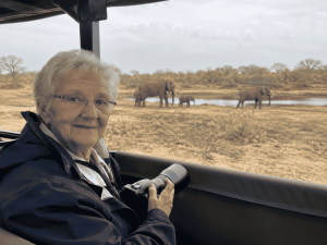 guided game drive South Africa